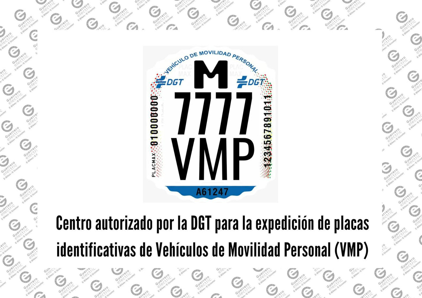 MATRICULA AUTORIZADA HOMOLOGADA VMP